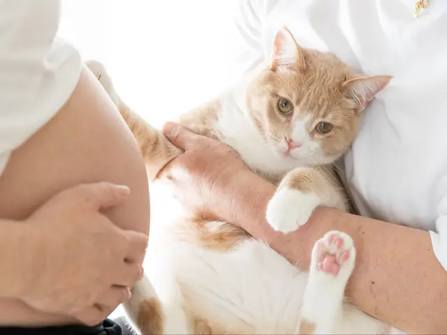 【全カットレタッチ厳選30カット以上】ペットフォト