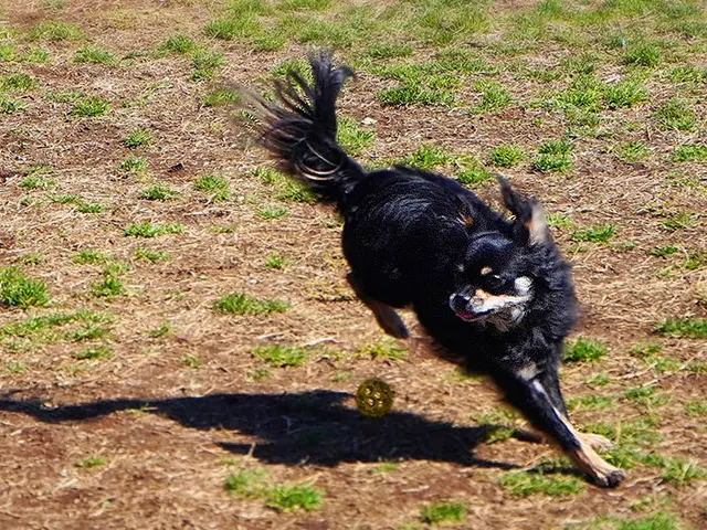 【プロの店長が伺います】豊富な経験と知識で安心!作業外注一切なし◎