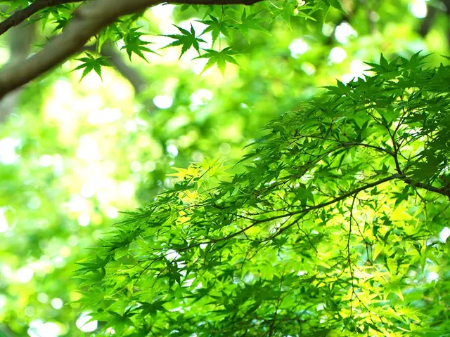 【プロの店長が伺います】豊富な経験と知識で安心!作業外注一切なし◎