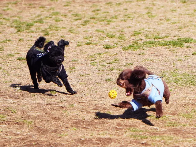 【プロの店長が伺います】豊富な経験と知識で安心!作業外注一切なし◎