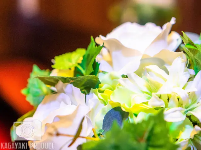 <静岡県発>経験豊富なカメラマンが出張撮影!自然な表情を撮影いたします!