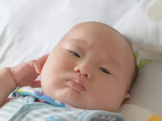 【出張撮影サービス】撮影枚数、人数制無し!