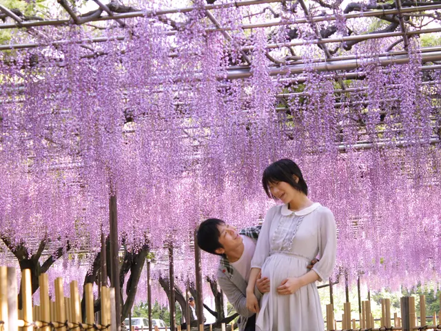 岡崎安城、西三河地区にてマタニティフォトの出張撮影ならお任せください♪