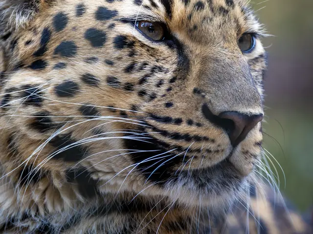 【プロスポーツ撮影実績あり】安心してお気軽にご相談ください!女性スタッフ同行可能