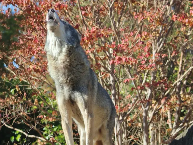 【プロスポーツ撮影実績あり】安心してお気軽にご相談ください!女性スタッフ同行可能