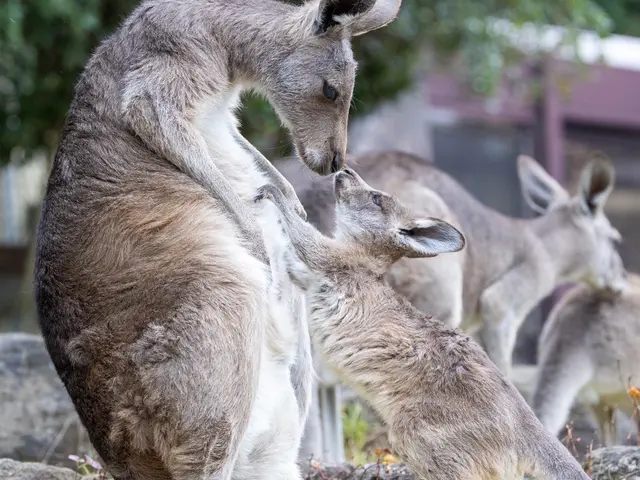 【プロスポーツ撮影実績あり】安心してお気軽にご相談ください!女性スタッフ同行可能