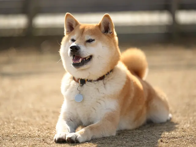 大切な家族との大切な時間を思い出に