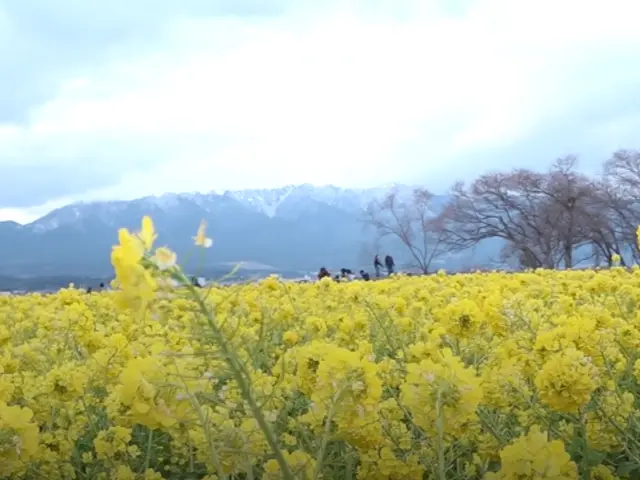 【業務用カメラで出張撮影】