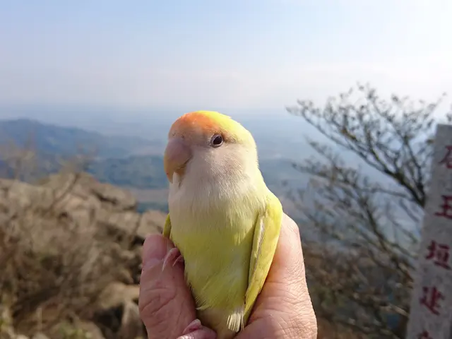 予約対応~撮影・納品まで当社スタッフがすべて対応します。フォトブック1冊付。