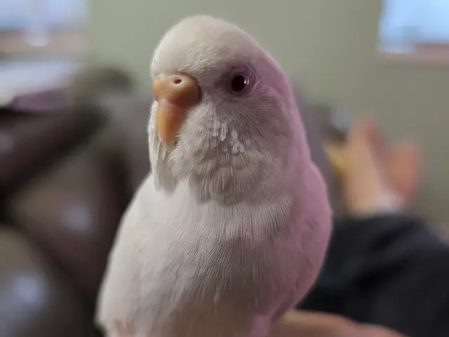 予約対応~撮影・納品まで当社スタッフがすべて対応します。フォトブック1冊付。