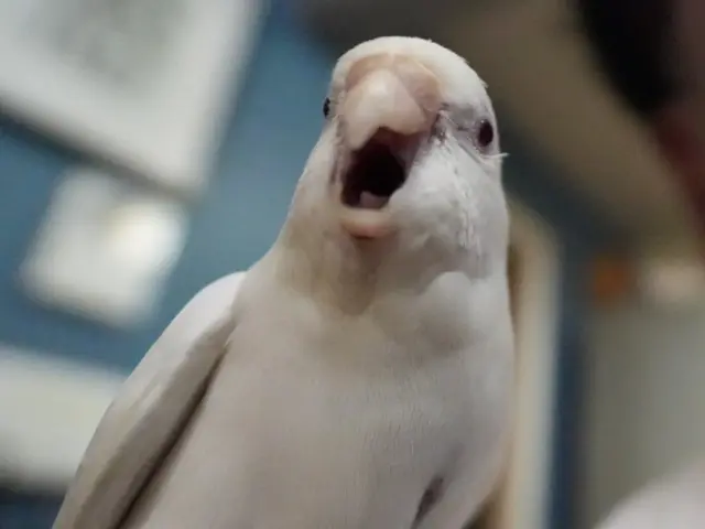 予約対応~撮影・納品まで当社スタッフがすべて対応します。フォトブック1冊付。