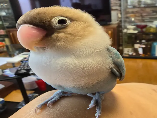 予約対応~撮影・納品まで当社スタッフがすべて対応します。フォトブック1冊付。