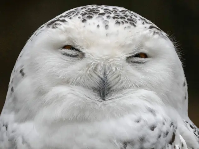 予約対応~撮影・納品まで当社スタッフがすべて対応します。フォトブック1冊付。