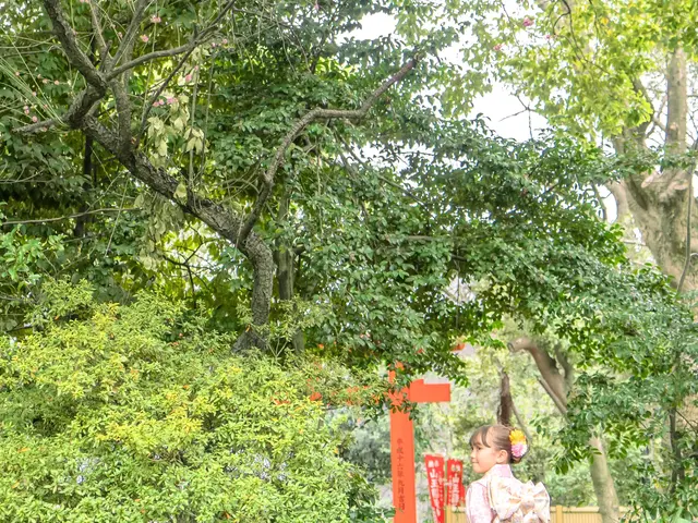 女性カメラマン★着付けもできるので 撮影中の着崩れもご安心下さい★