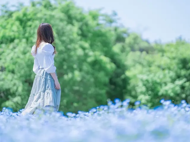 今だけ特価!プロフィール写真