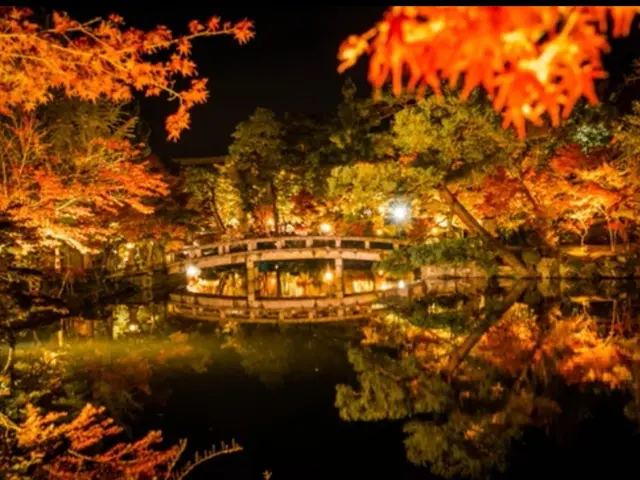 今だけ特価!プロフィール写真