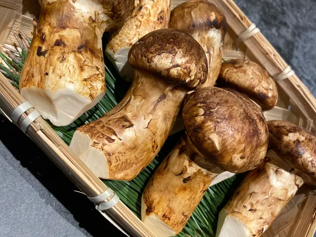 銀座の味を自宅で!鮮度抜群の江戸前寿司をお届け