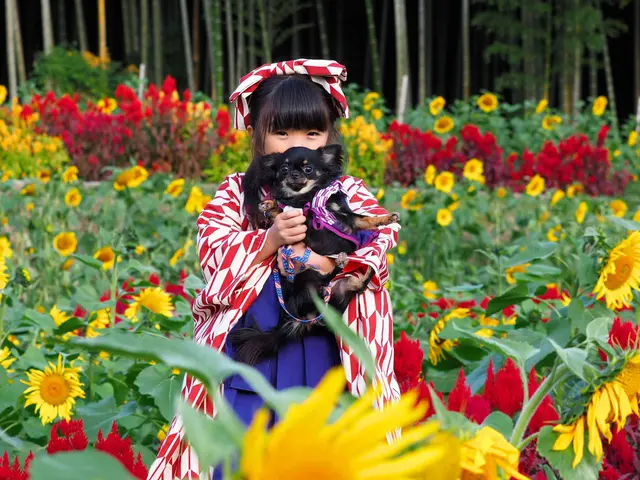 主に753シーズンはひまわり園で撮影をしています。