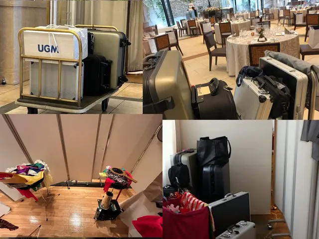 結婚式のおめでたい日用に特化した華やかなマジックショーを提供致します