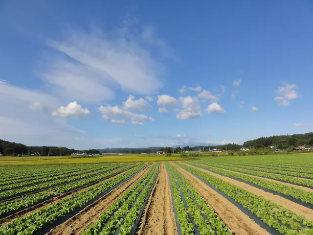 地域密着での営業!現像した写真は、無料でラミネート加工いたします。