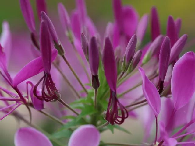 地域密着での営業!現像した写真は、無料でラミネート加工いたします。