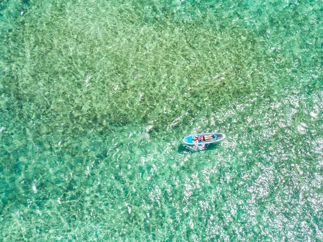 地上からは絶対に撮影することができない魅力的な写真・動画を撮影します!