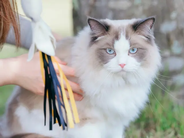 その一瞬を、永遠に。素早い動きもしっかり切り取ります!