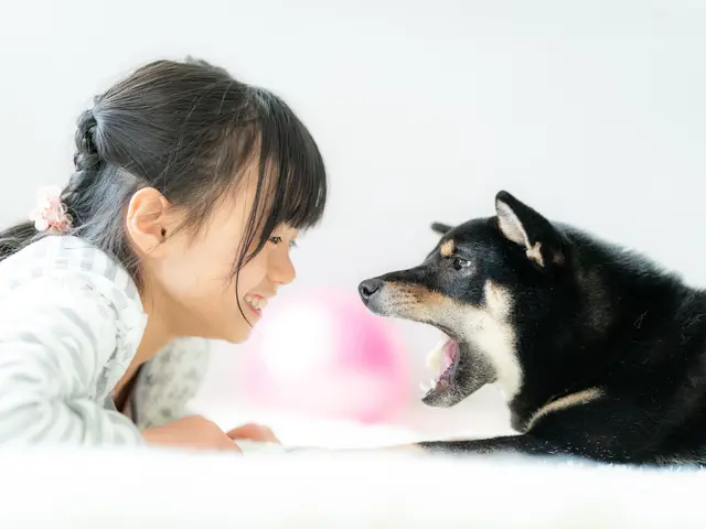いつもの日常を新たな思い出に ペットの記念撮影