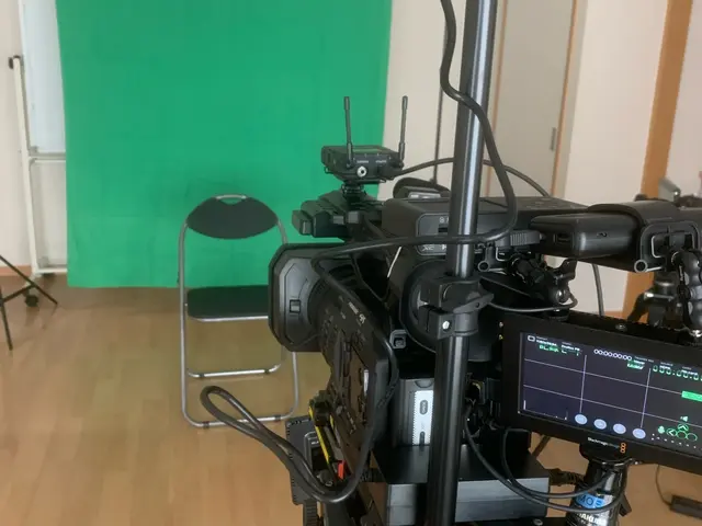 【結婚式やウェビナー、YouTube動画、企業イベント、舞台など400件の実績】