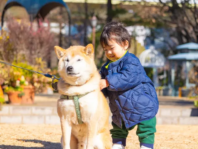 動物大好き女性フォトグラファーがあなたのペットを撮影いたします