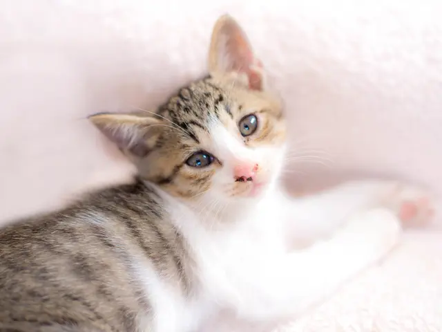 プロフィール写真はおまかせを☆自然な笑顔を