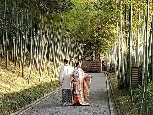 白無垢 色打掛 振り袖 袴 振り袖 訪問着 留袖 浴衣 各種着付け承ります。