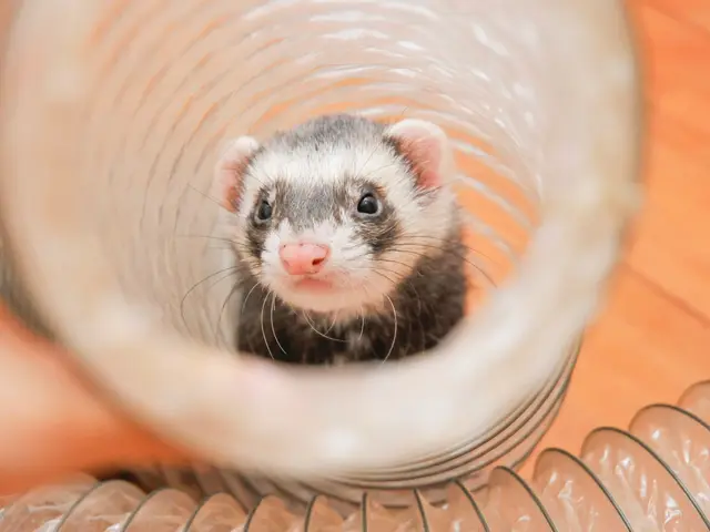 <店長の私が必ず伺います!>女性のお客様も安心してお任せください!