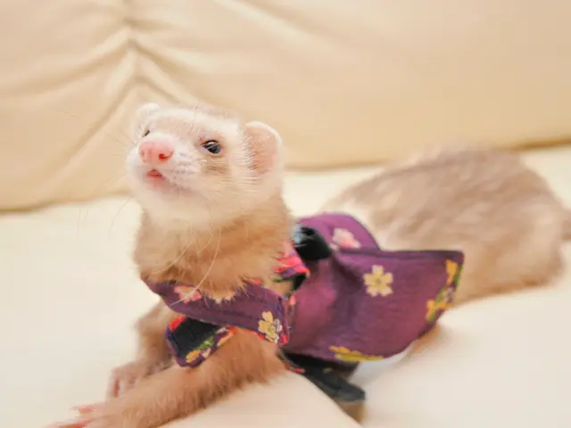 <店長の私が必ず伺います!>女性のお客様も安心してお任せください!