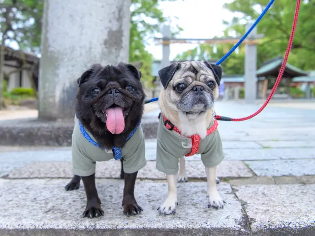 <店長の私が必ず伺います!>女性のお客様も安心してお任せください!