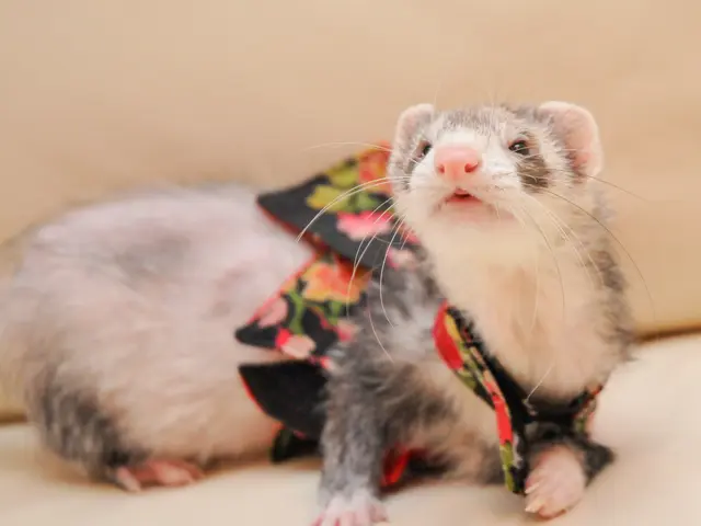 <店長の私が必ず伺います!>女性のお客様も安心してお任せください!