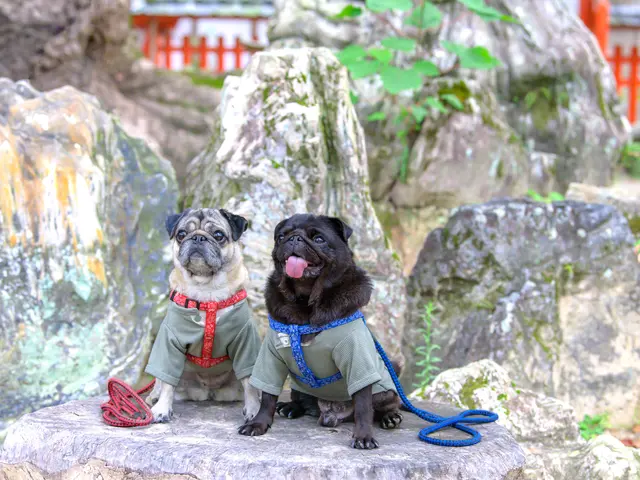 <店長の私が必ず伺います!>女性のお客様も安心してお任せください!