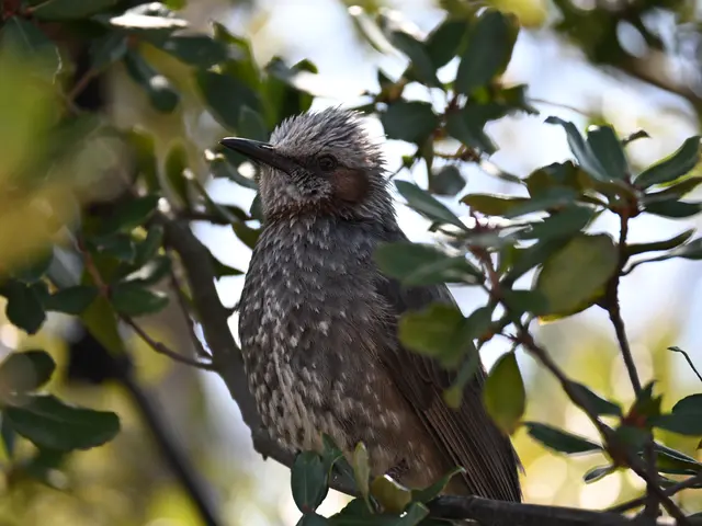 愛するペットのご撮影