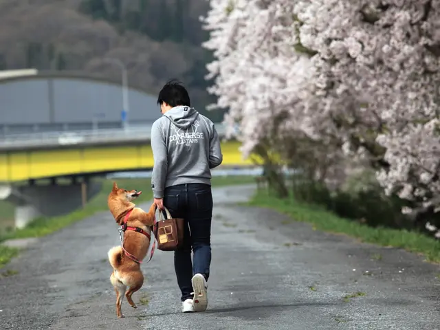 2時間以上は割引あり