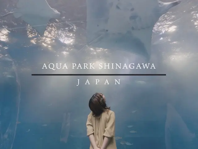 ウェディング(オープニング・プロフィール)、企業PR動画 撮影