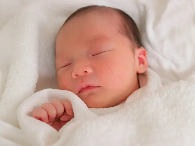 プロ機材。身近な価格。豊富な実績。"心に残る感動" 写真をもっと身近に。