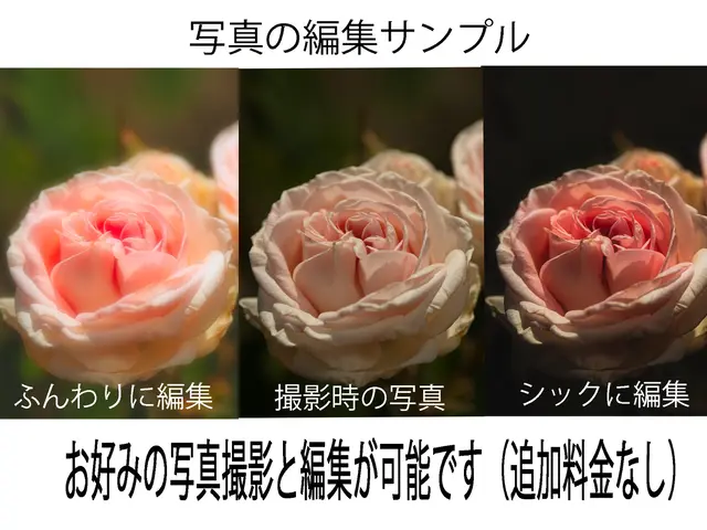 この料金は対応力・技術力の証明。 安売りできない撮影技術を提供します。