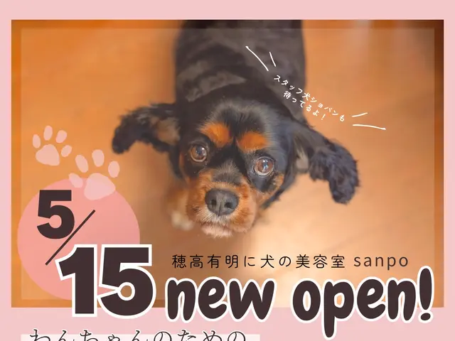 【期間限定価格!】うちの子が一番♡