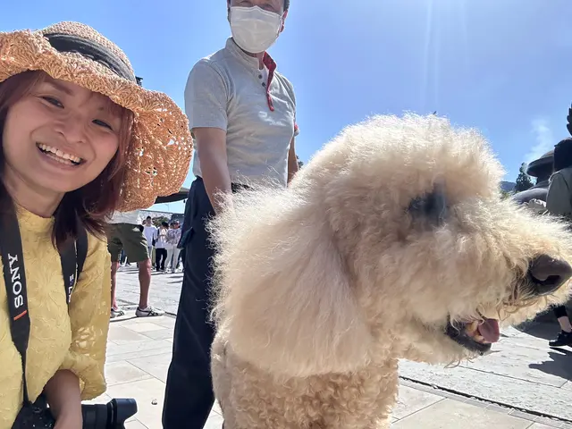 【期間限定価格!】うちの子が一番♡