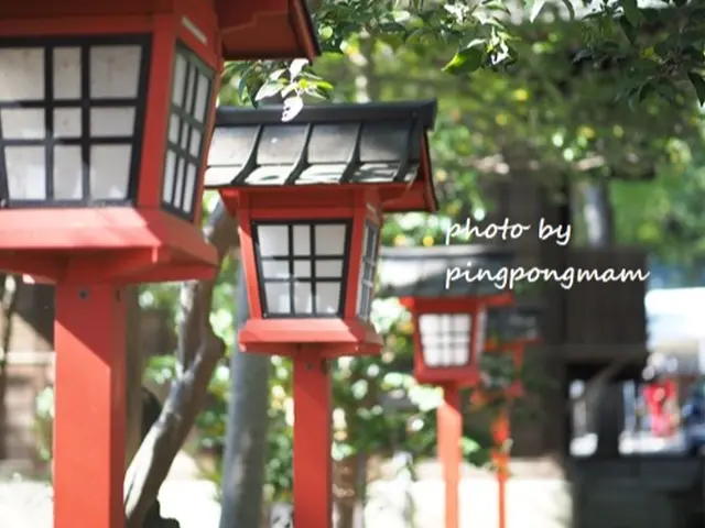 女性フォトグラファーがふんわり優しい写真を残します◎お気軽にご相談くださいませ♪