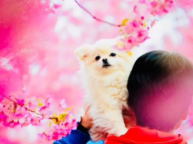 【★ご好評感謝割★22,000円→15,000円】◎先着50組まで◎交通費込