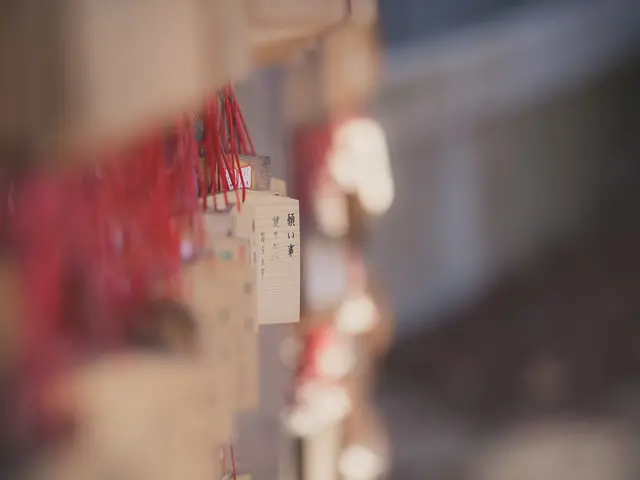 経験20年◆心が写る「写心」をお届け★対応地域外の方も交通費のご負担で対応可能★