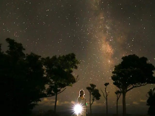 【沖縄本島地域密着】経験25年!!首里城公園で撮影許可有り!