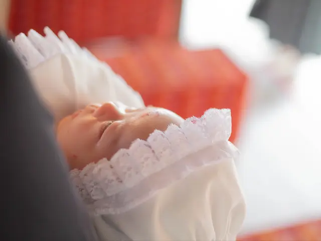 きんちゃんカメラマン