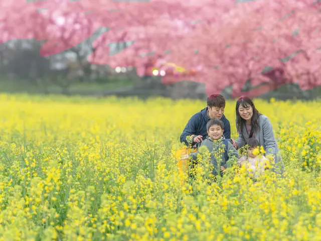 【口コミで決めてください!】家族写真、記念日、卒業、入学式!笑顔引き出します